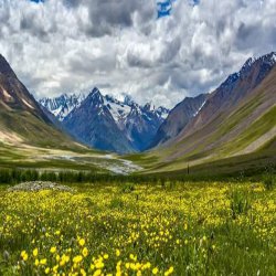 Kashmir Family Tour Packages With Price
