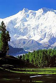 Sonmarg tourism things to do places to visit