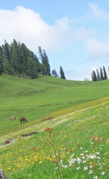 Couple on Kashmir Tour Package Enjoying Snow in Gulmarg