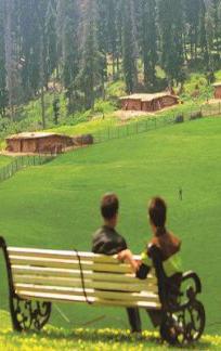 Things to do in Doodpathri Tour Place In Kashmir 