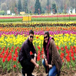 Kashmir honeymoon tour package for couple